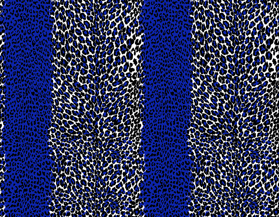 zoom colori LEOPARD pervenche, bleu, noir, blanc